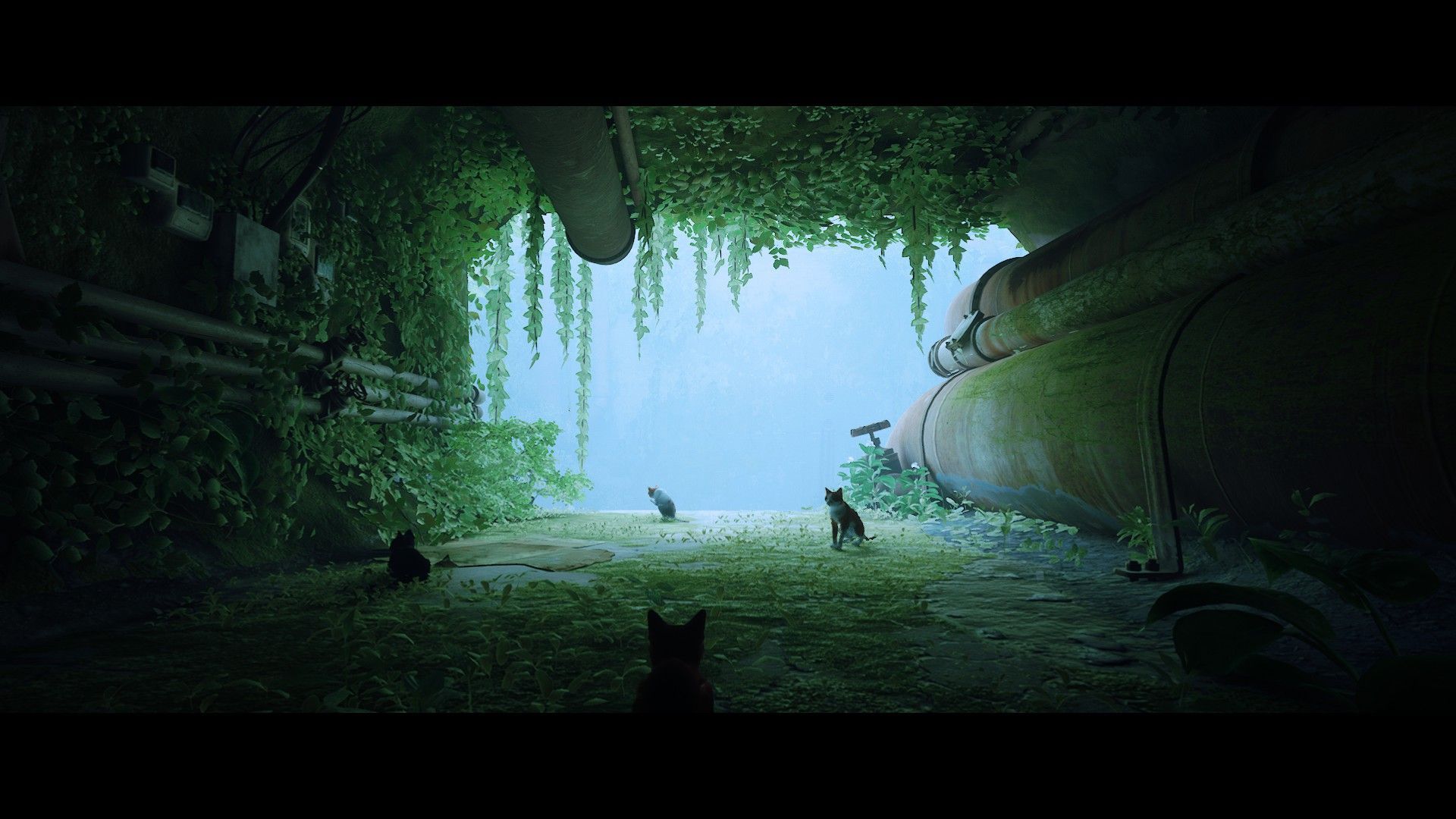 Screenshot aus dem Spiel "Stray".