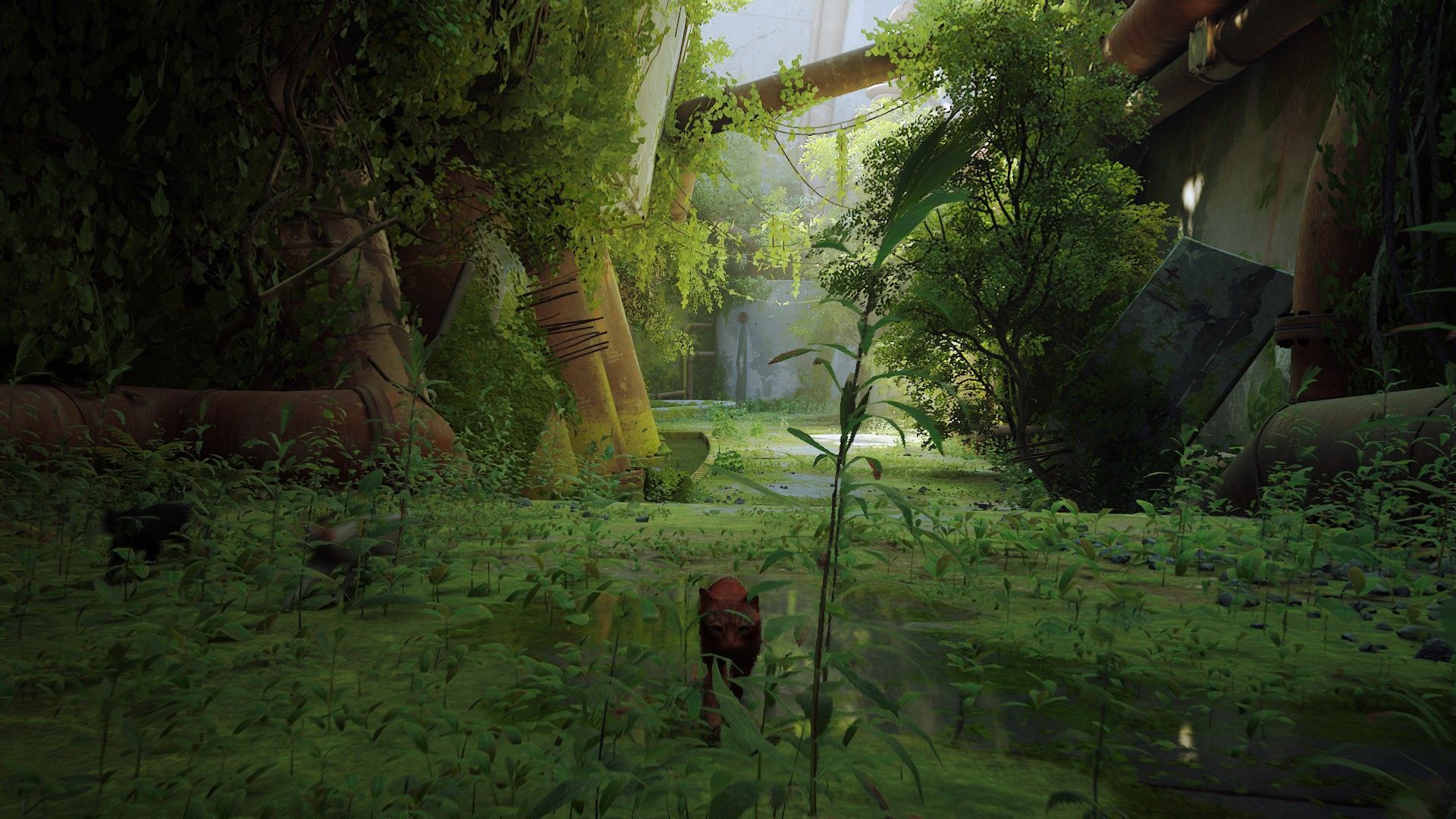 Screenshot aus dem Spiel "Stray".